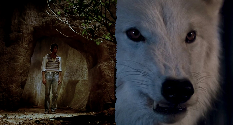 Sesión doble: Nazareno Cruz y el lobo (1975) / Lobos humanos (1981) – Cine  maldito